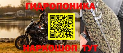 прущие грибы Краснознаменск