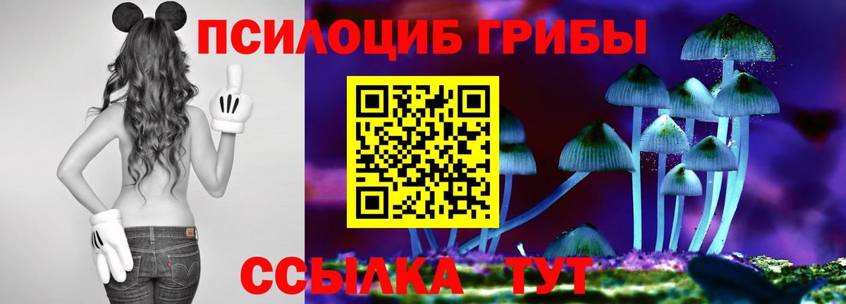 Галлюциногенные грибы Cubensis  Псилоцибиновые грибы Cubensis  Ишимбай  наркотики  Вход с VPN 